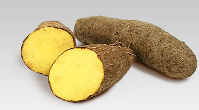 How to Cook Delicious Boiled Yellow Yam with Salt 
